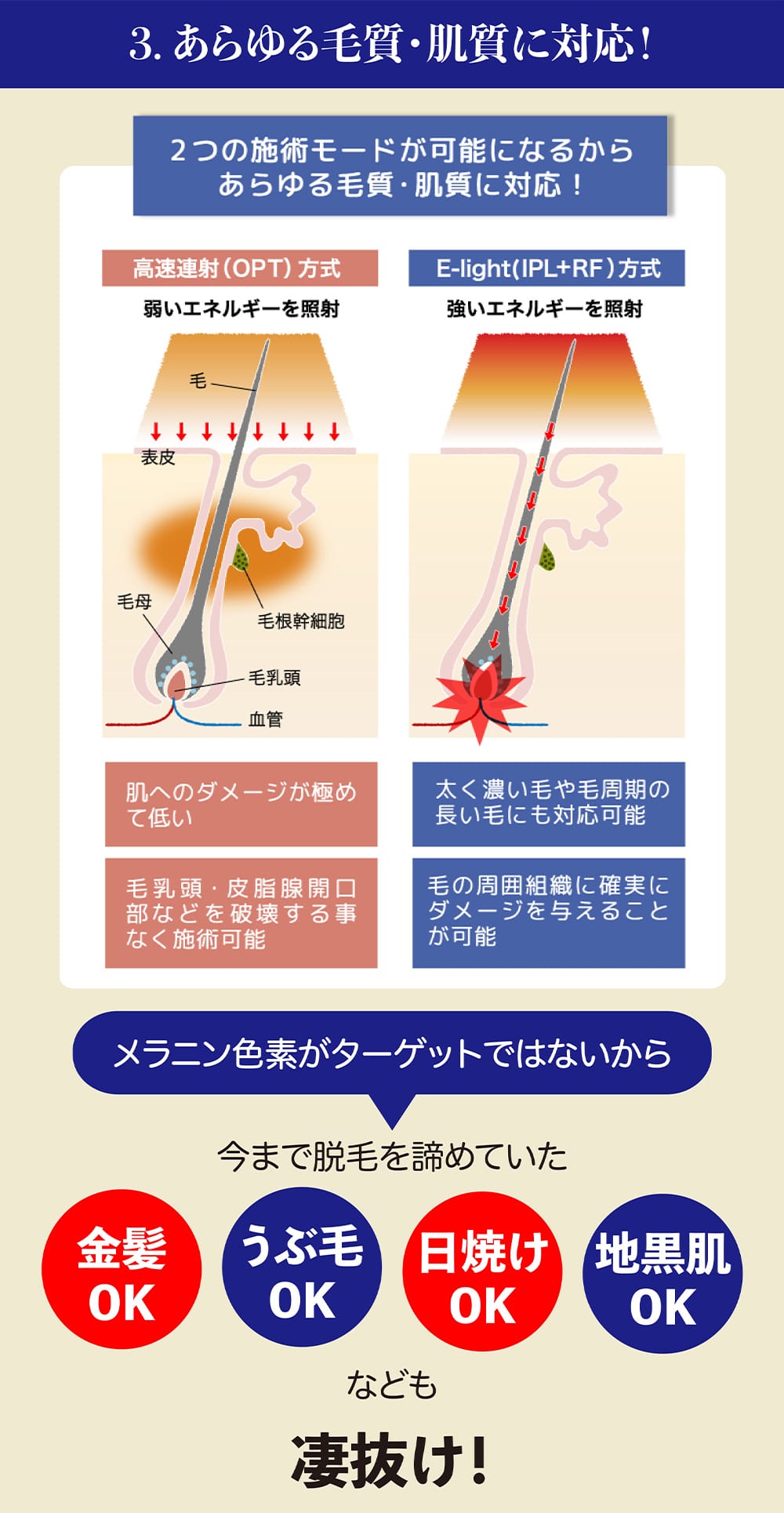 あらゆる毛質・肌質に対応